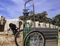 Digi-Star introduces New Calf Weighing Solution
