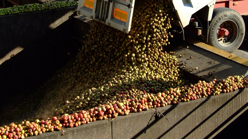 Weighbridge System Installation from Avery Weigh-Tronix Keeps the Cider Flowing