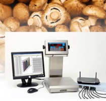 Mushroom Grower Increases Production Output by 5,000 lbs a Day Using Doran Checkweighers