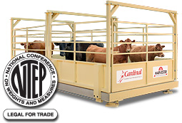 Harvester® LSC Livestock Scales NTEP Certified from Cardinal Scale