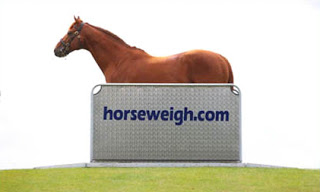 Horse Weigh's launches new equine weighing platform at the Coronation Festival
