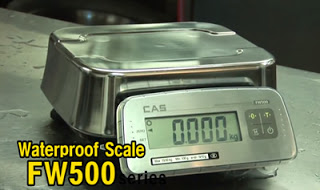 New CAS FW500 Waterproof Scale IP69 from Sensortronic Scales