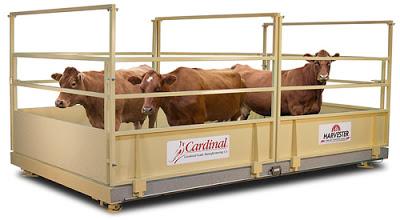 Cardinal’s New Harvester® Livestock Scales