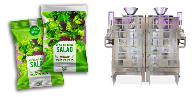 Highest efficiency in Packaging Machine applied to fresh vegetables sector