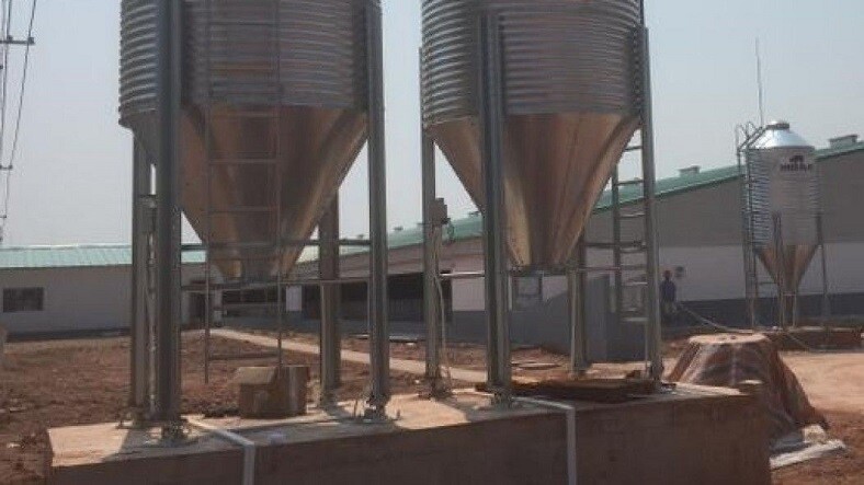 Wen’s Food - Scaime Silo Weighing for pig farming