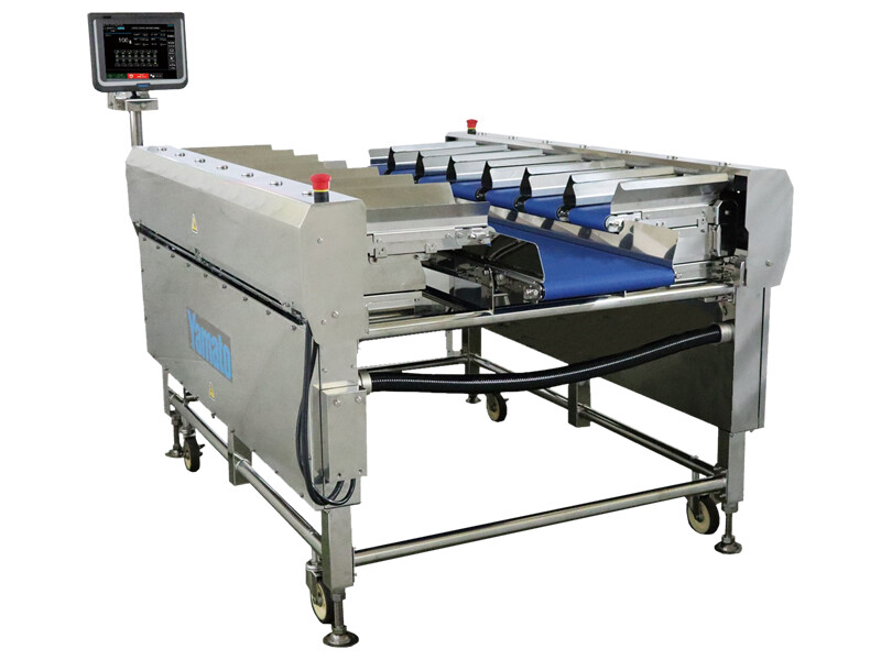 Yamato Scale launches productivity boosting Semi-Automatic Weigher