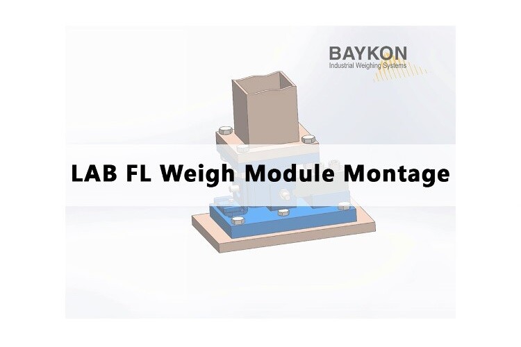 Article by Baykon Inc.: LAB FL Weigh Module Montage