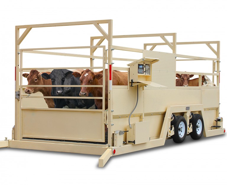 Cardinal Scale’s New Weight Wrangler Mobile and Portable Group Livestock Scales