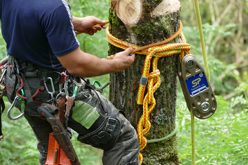Impact Block: The New Technology from Straightpoint to Enhance Safety in Tree Felling Applications