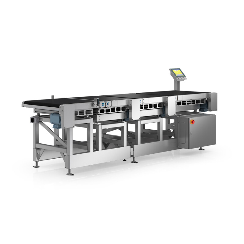 WIPOTEC Triple Scale Catchweigher - Six Virtual Scales Combined Into One System