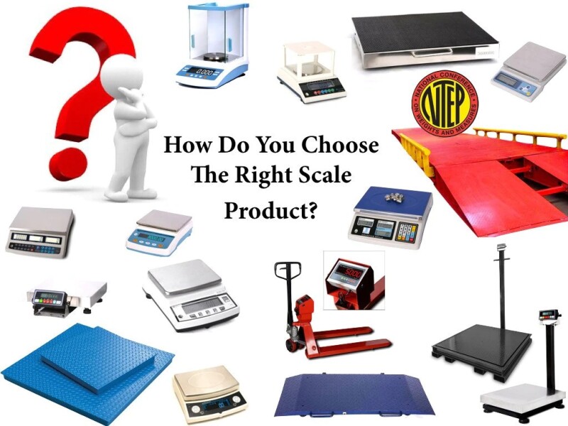 Article by Selleton Scales: How to Choose the Right Scale Product?