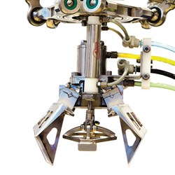 Ishida’s New RobotGrader revolutionises Fixed Weight Tray Packing