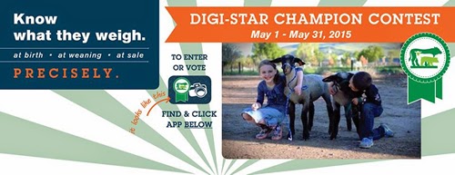 Digi-Star Champion 2015 Contest – Enter to win a Livestock Scale