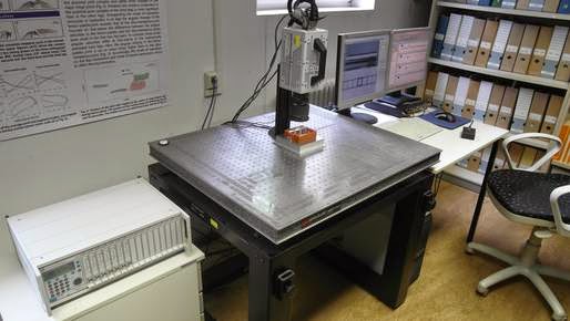 Ants go for the new 3D miniature force measurement platform used at the University of Jena