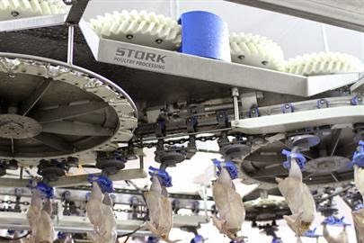 Stork SmartWeigher: a New Weigher for the poultry processing industry from Marel